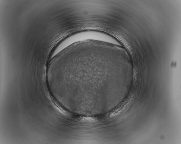 X0000100210397200806131256