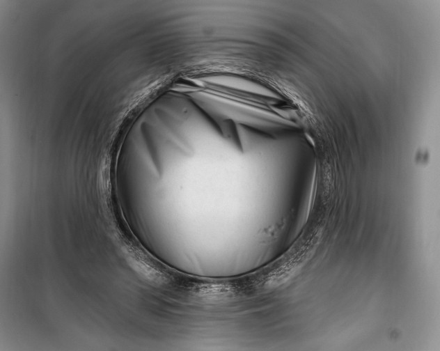 X0000100210398200806131256