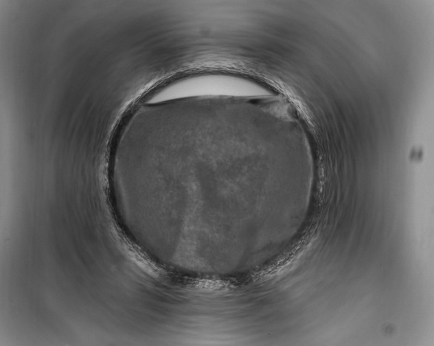 X0000100210399200806131256