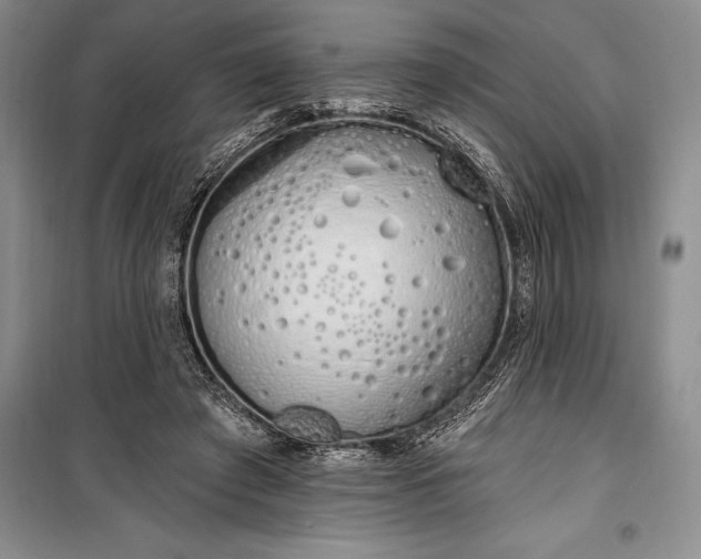 X0000100210401200806131256