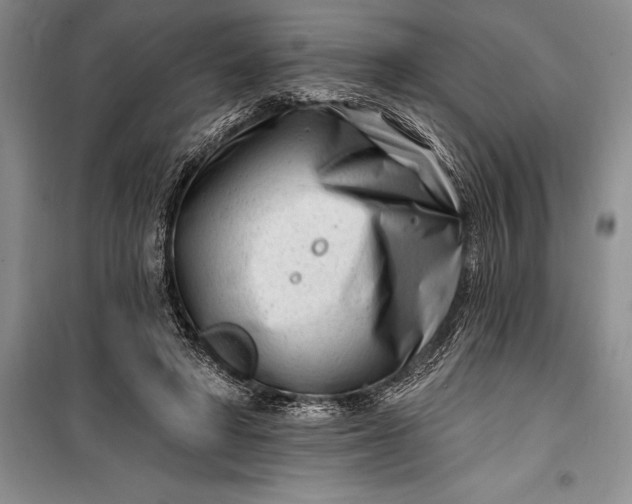 X0000100210402200806131256