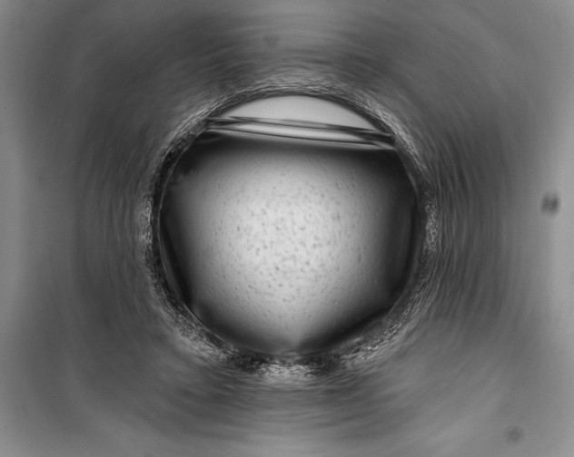 X0000100210403200806131256