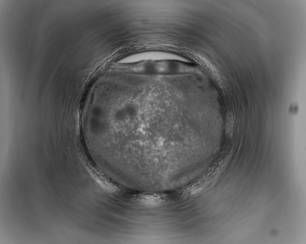 X0000100210405200806131256