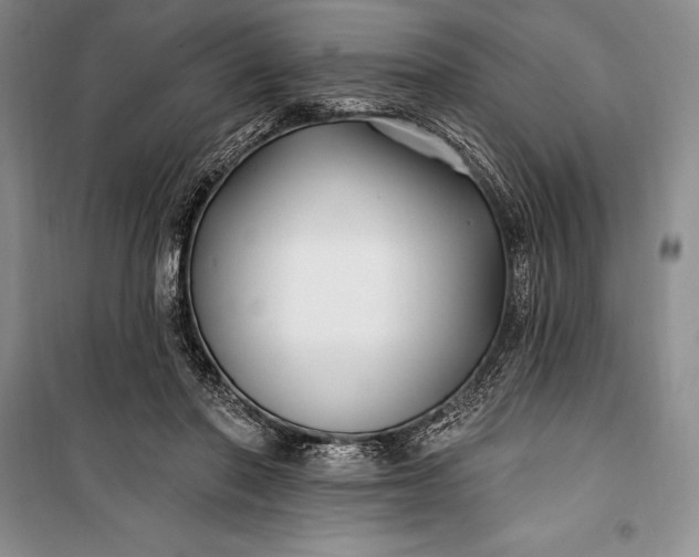 X0000100210406200806131256