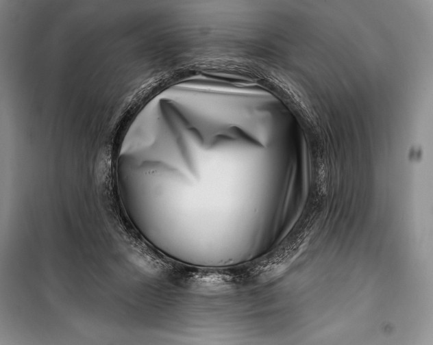 X0000100210407200806131256