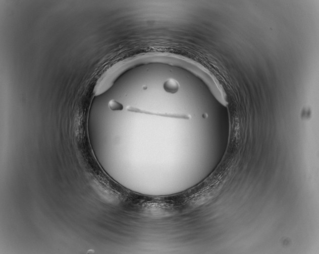 X0000100210408200806131256