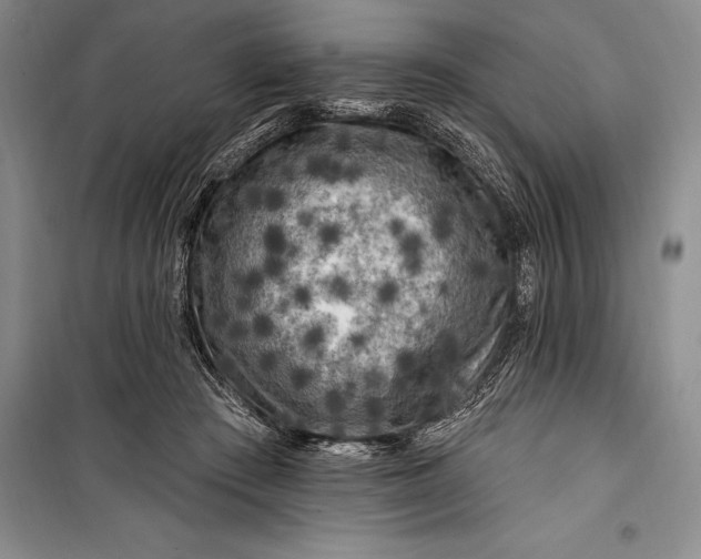 X0000100210409200806131256