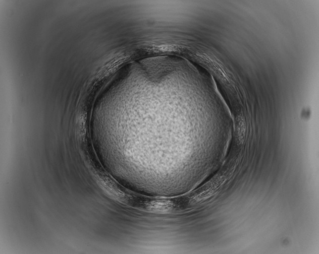 X0000100210410200806131256