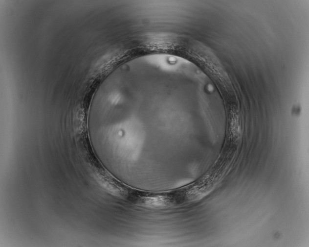 X0000100210411200806131256