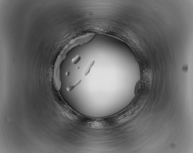 X0000100210412200806131256