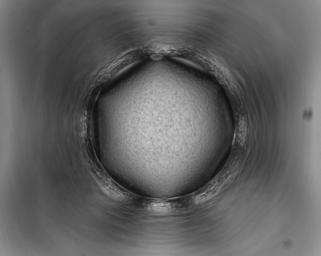 X0000100210413200806131256