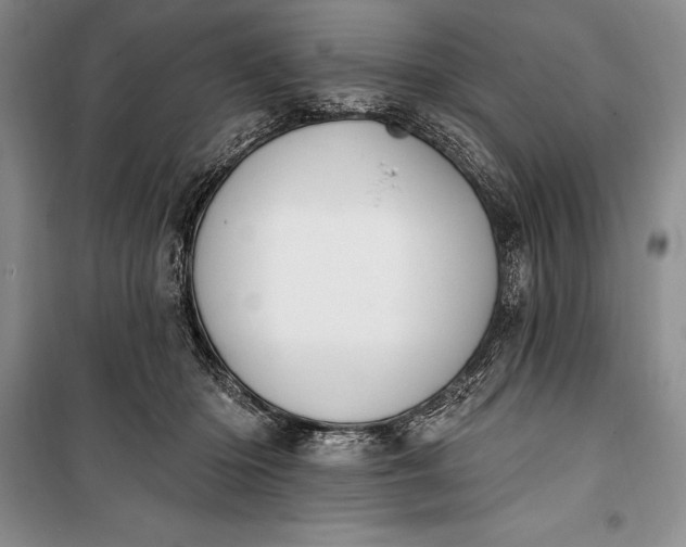 X0000100210414200806131256