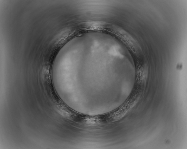 X0000100210415200806131256