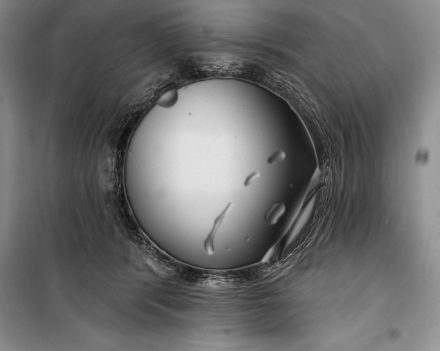 X0000100210416200806131256