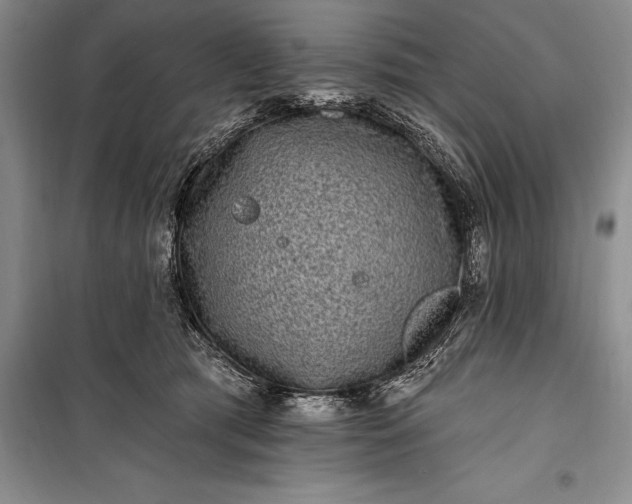 X0000100210417200806131256