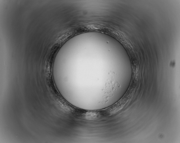 X0000100210418200806131256