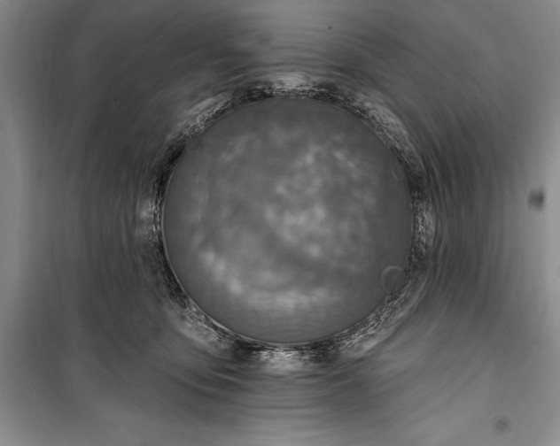 X0000100210419200806131256