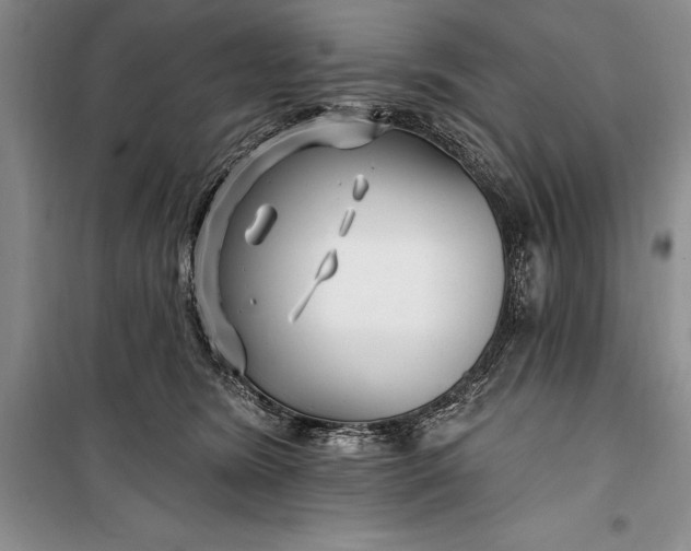 X0000100210420200806131256