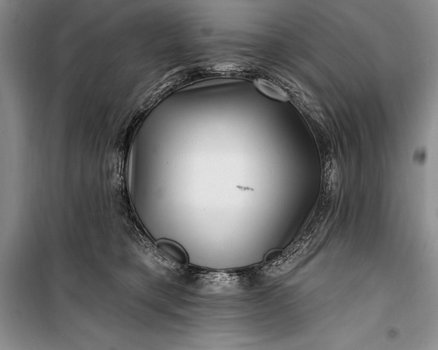 X0000100210421200806131256