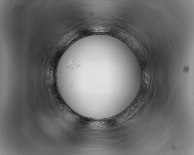 X0000100210422200806131256