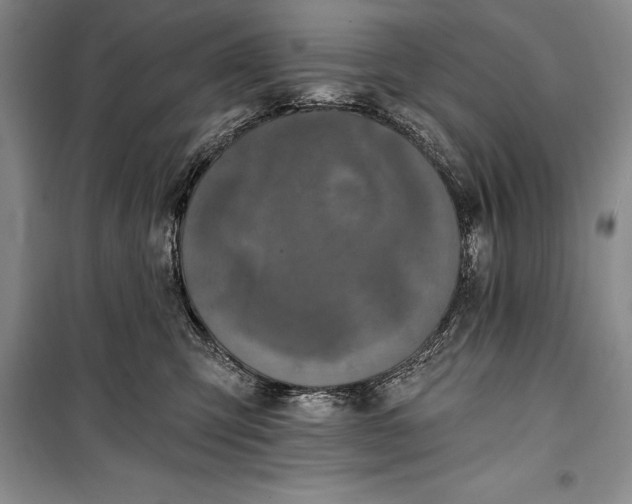 X0000100210423200806131256