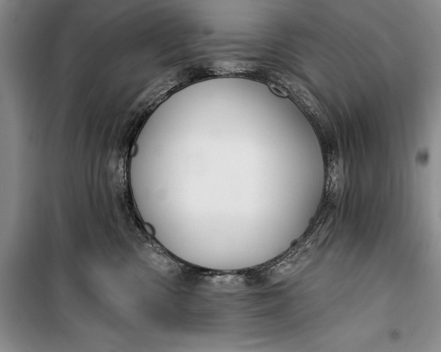 X0000100210426200806131256