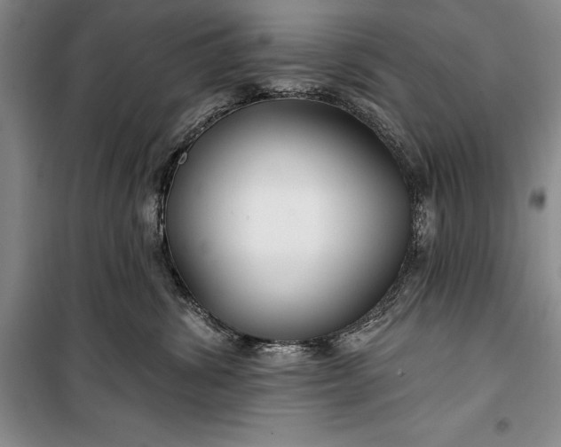 X0000100210428200806131256