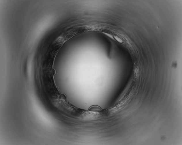 X0000100210429200806131256