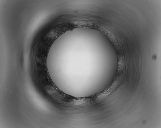 X0000100210430200806131256