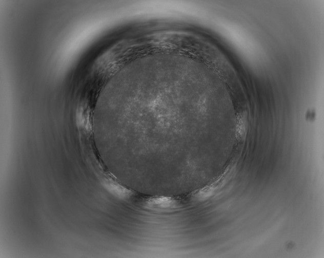 X0000100210431200806131256