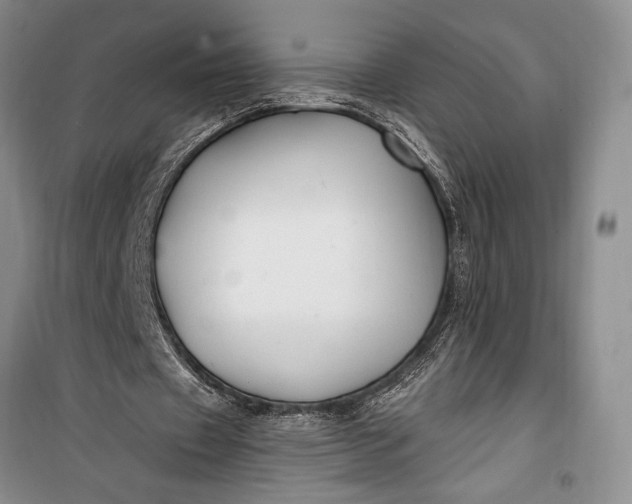 X0000100210433200806131255