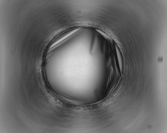 X0000100210434200806131255