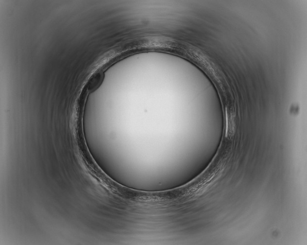 X0000100210435200806131255