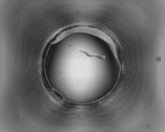 X0000100210436200806131255