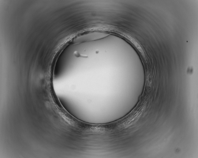 X0000100210437200806131255