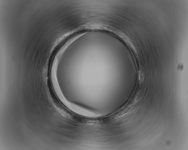 X0000100210438200806131255