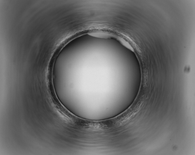 X0000100210439200806131255