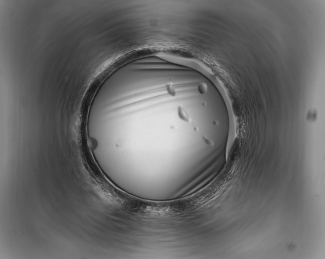 X0000100210440200806131255