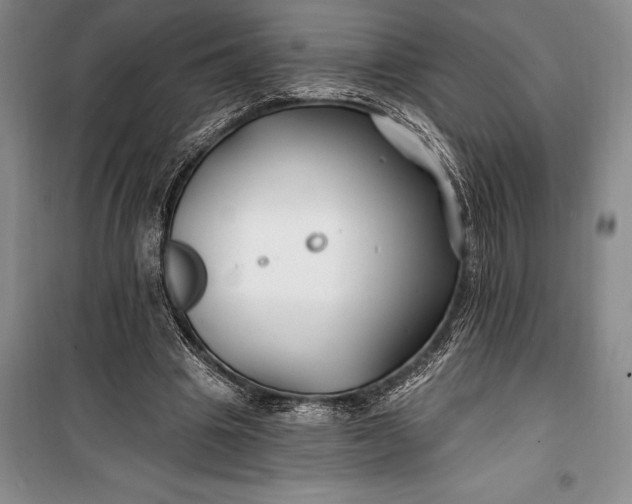 X0000100210441200806131255