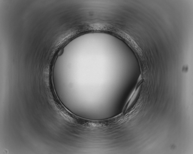 X0000100210442200806131255