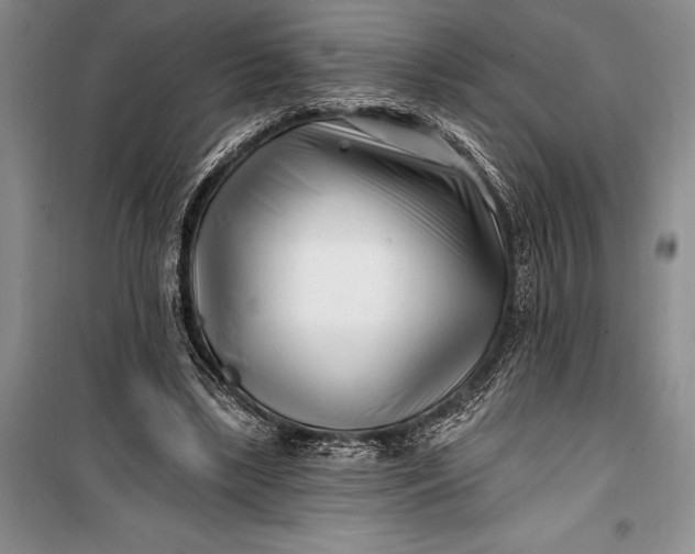 X0000100210443200806131255