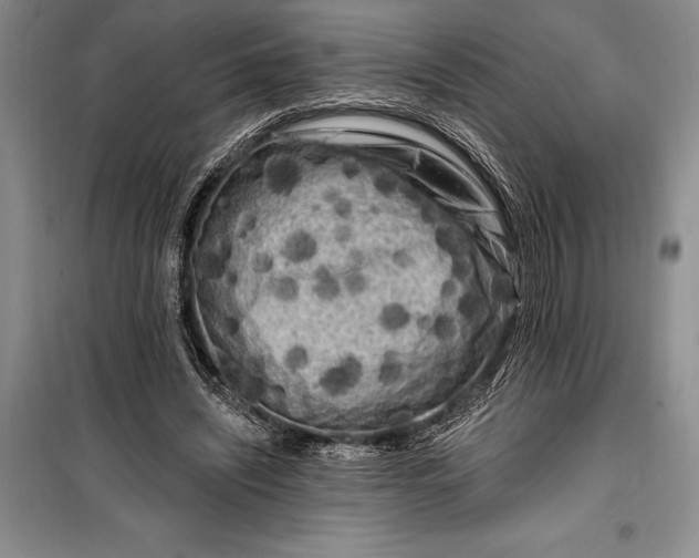 X0000100210444200806131255