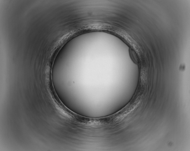 X0000100210445200806131255