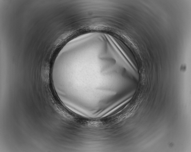 X0000100210446200806131255