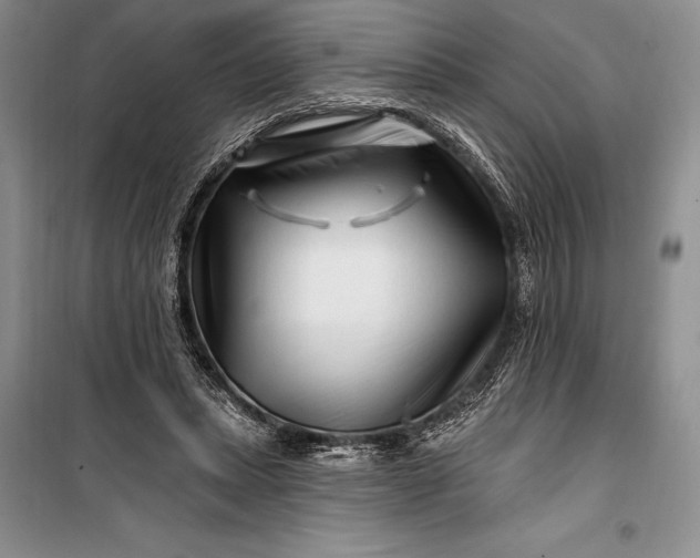 X0000100210447200806131255