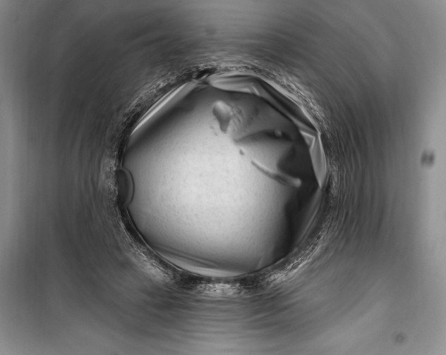 X0000100210449200806131255