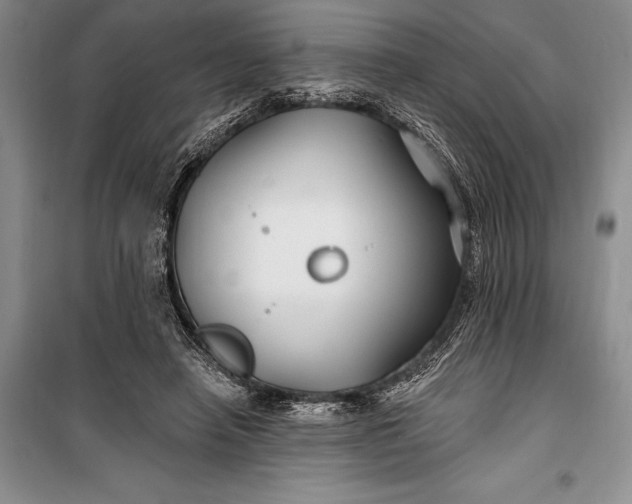 X0000100210450200806131255