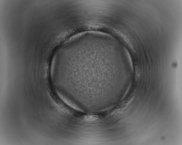 X0000100210451200806131256