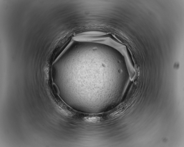 X0000100210452200806131256