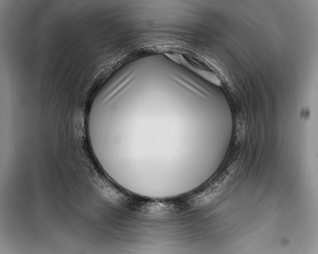 X0000100210453200806131256